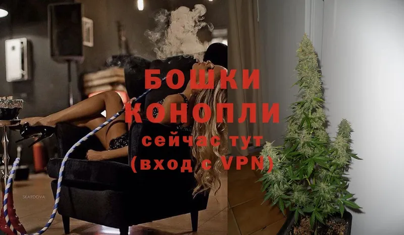 что такое   Знаменск  Конопля Ganja 